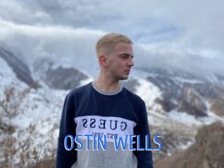 OSTIN_WELLS