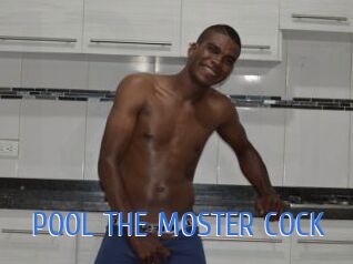 POOL_THE_MOSTER_COCK