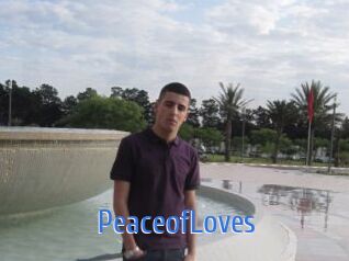 PeaceofLoves