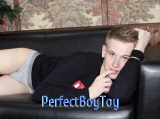 PerfectBoyToy