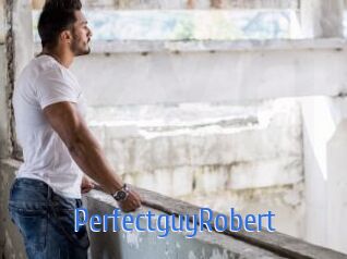 PerfectguyRobert