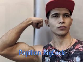 Papillon_BigCock