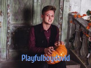 Playfulboydavid