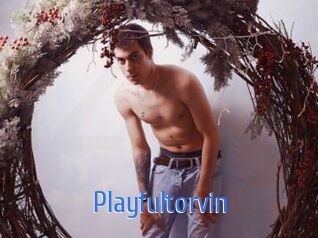 Playfultorvin