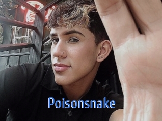 Poisonsnake