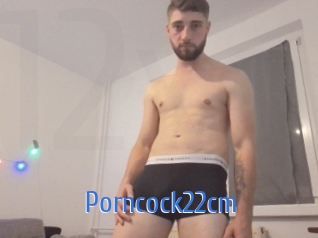 Porncock22cm