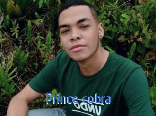 Prince_cobra