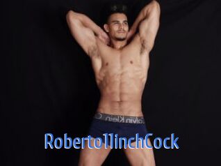 Roberto11inchCock