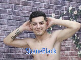 ShaneBlack