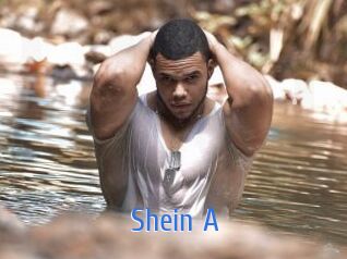 Shein_A