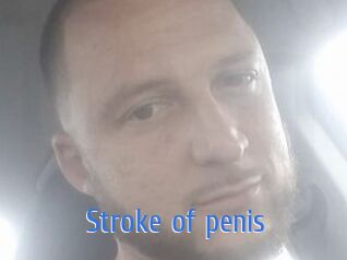 Stroke_of_penis