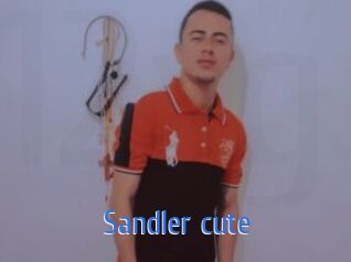 Sandler_cute