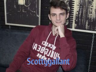 Scottygallant