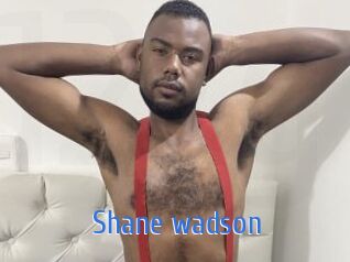 Shane_wadson