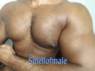 Smellofmale