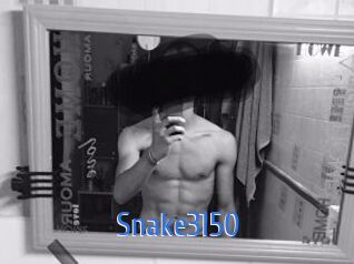 Snake3150