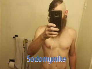 Sodomymike