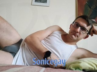 Sonicegay