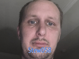 Stew058