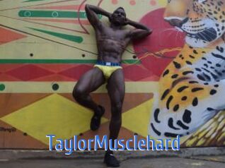 TaylorMusclehard