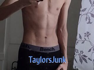 TaylorsJunk