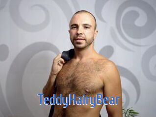 TeddyHairyBear