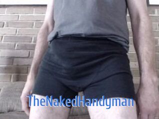 TheNakedHandyman