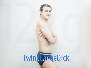 TwinkLargeDick