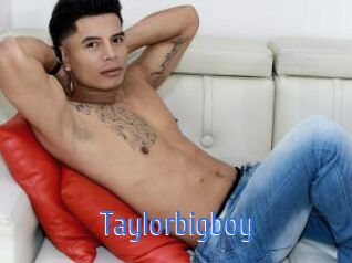 Taylorbigboy