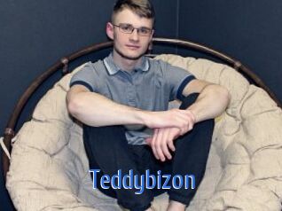 Teddybizon