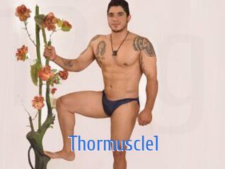 Thormuscle1