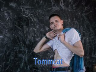 Tommcat