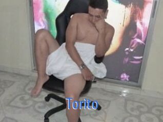 Torito