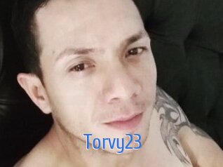 Torvy23