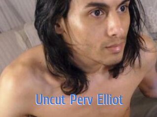 Uncut_Perv_Elliot