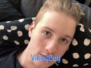 VikingBoy