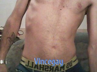 Vincegay