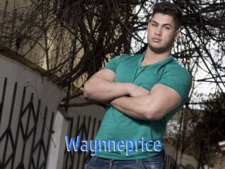 Waynneprice