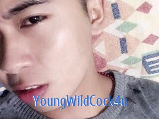 YoungWildCock4u