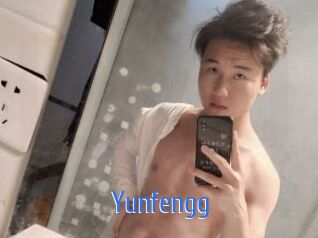 Yunfengg