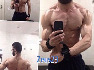 Zeus23