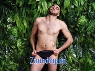 Zanedeyum