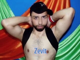 Zevit